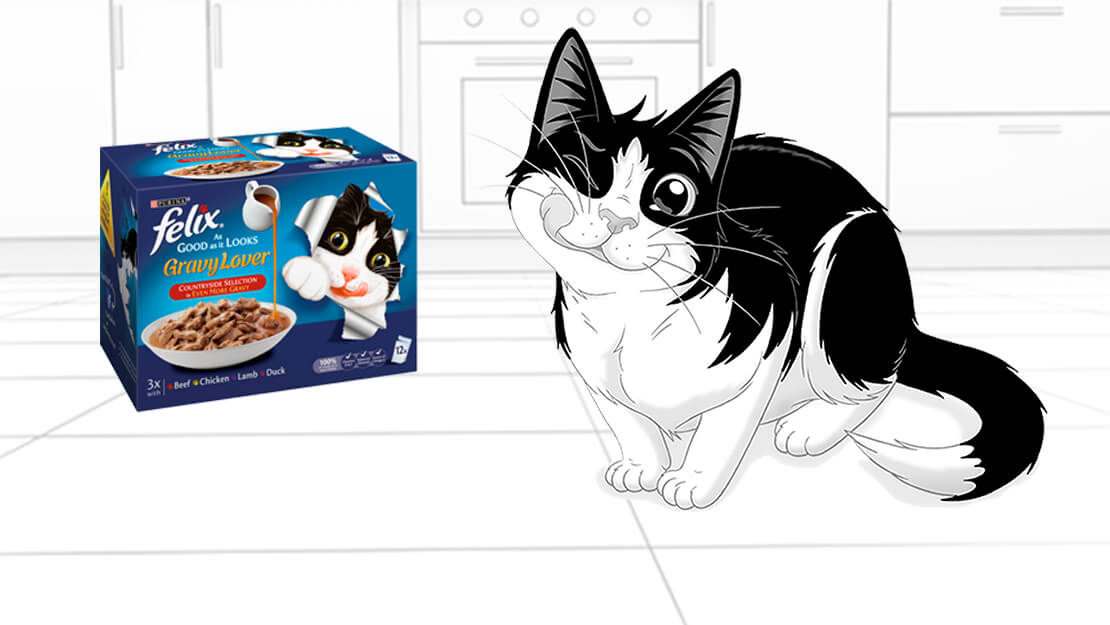 Felix Gravy Lover Cat Food Purina